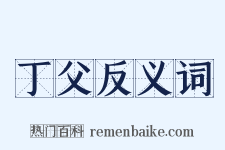 丁父反义词是什么意思的图片